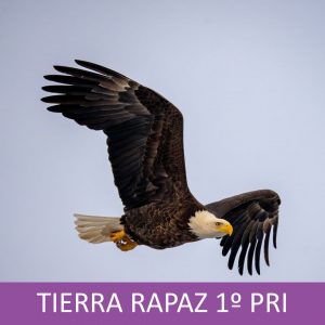Tierra Rapaz 1º Primaria